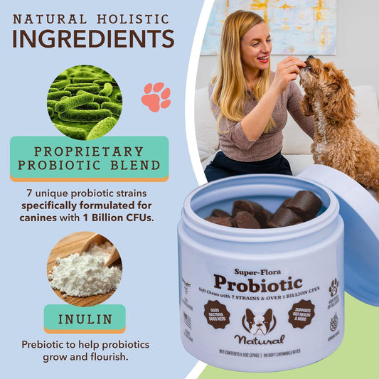 Natural Dog Company Probiotic Chews for Dogs (90 Bites), Chicken Flavor, Helps with Digestion & Gut Health Supports Immune System, Probiotics Supplement for Dogs of All Ages, Sizes & Breeds