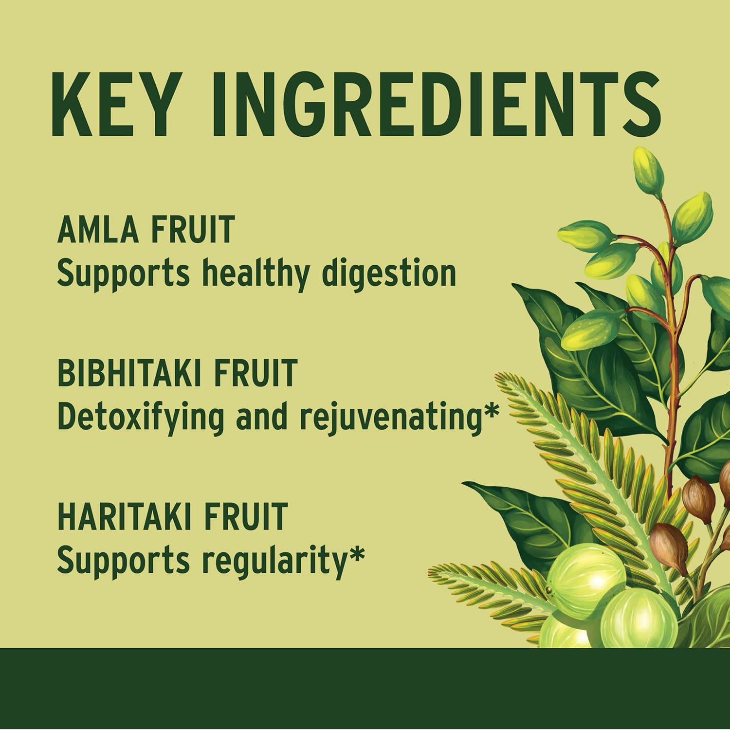 Banyan Botanicals Triphala Tablets - Organic Triphala With Amla, Haritaki & Bibhitaki – For Digestion, Elimination & Healthy Gut Microbiome* – 180 Tablets – Non-Gmo Sustainably Sourced Vegan : Health & Household