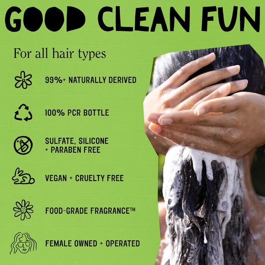 California Naturals Moisture Shampoo for Dry Damaged Hair, Hydrating Shampoo, Scalp & Hair Care for Women and Men, Natural, Vegan, Cruelty Free, Paraben and Sulfate Free Shampoo, Color Safe, 12 fl oz
