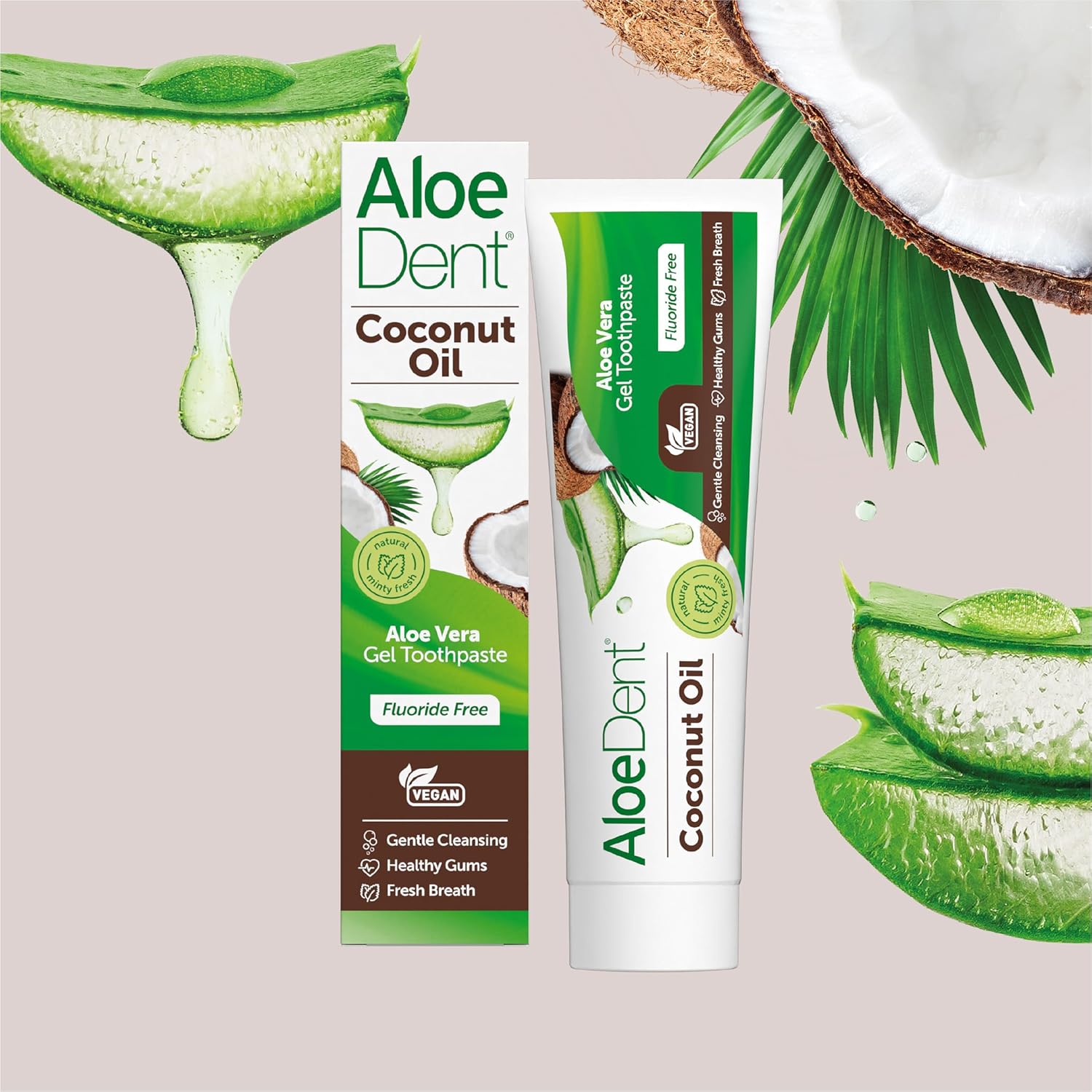 Aloe Dent Coconut Oil Toothpaste Fluoride Free, Natural Action, Vegan, Cruelty Free, SLS Free, Triple Action, Healthy Gums, 100 ml (Pack of 2) : Amazon.co.uk: Health & Personal Care