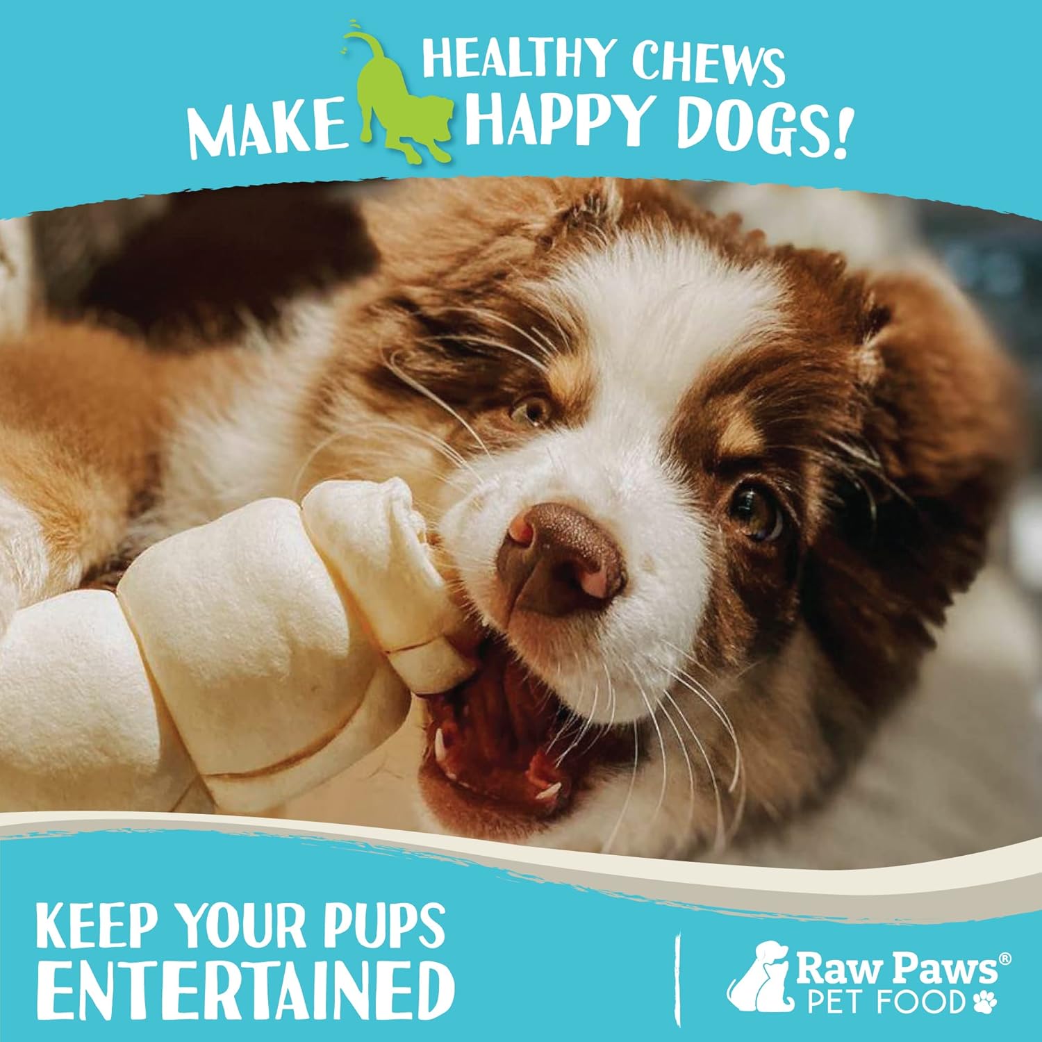 Raw Paws Beef Cheek Rolls for Dogs, 10-inch, 4-ct - Packed in USA - Rawhide Alternative Dog Chews - Free-Range Cow Cheek Rolls for Dogs - Retriever Rolls for Large Dogs - Dog Beef Cheeks : Pet Supplies