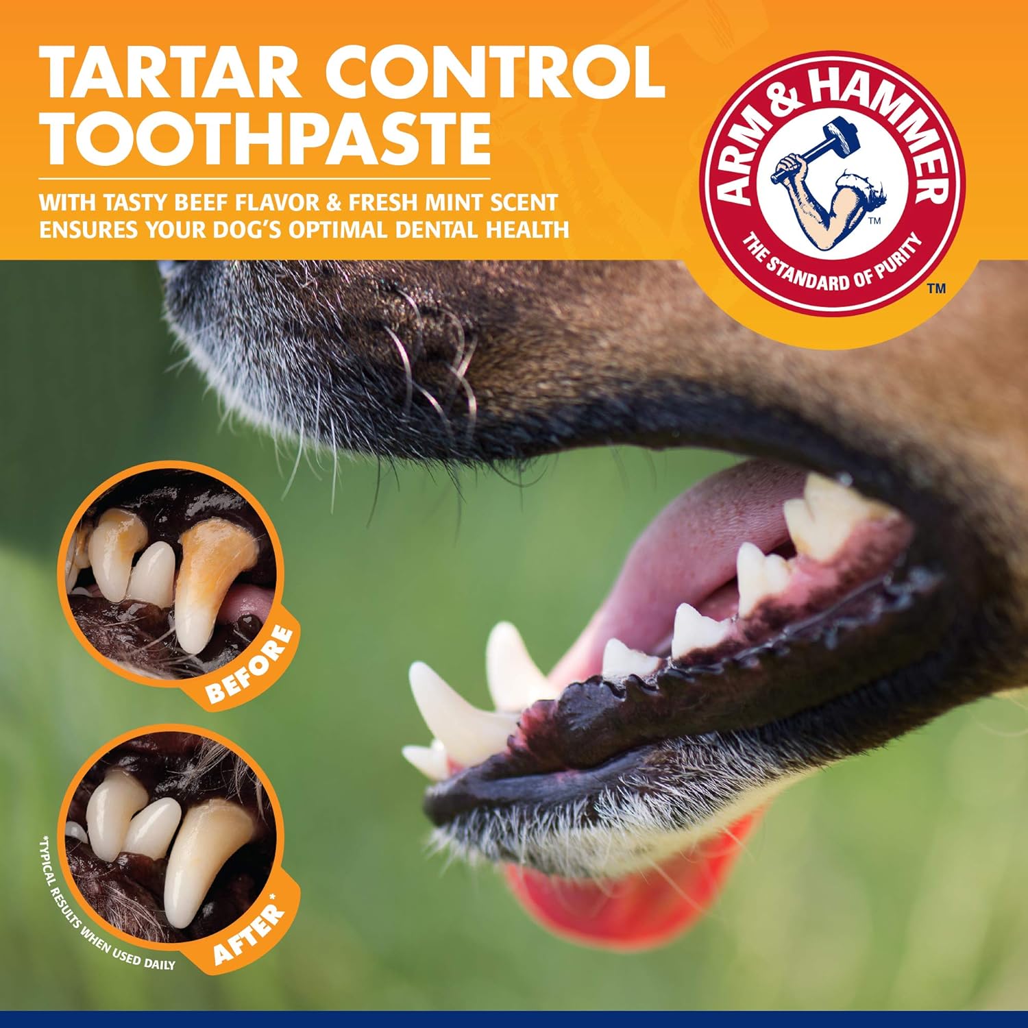 The Company Of Animals Arm & Hammer Paste & Brush Set Clear