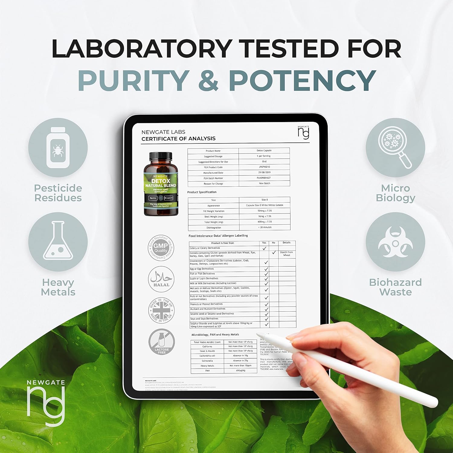 Newgate Labs Detox Natural Blend 90 Capsules - with Aloe Vera & Cranberry Extract - Premium Nutritional Supplement - Made in The UK – GMO Free, Halal : Amazon.co.uk: Health & Personal Care