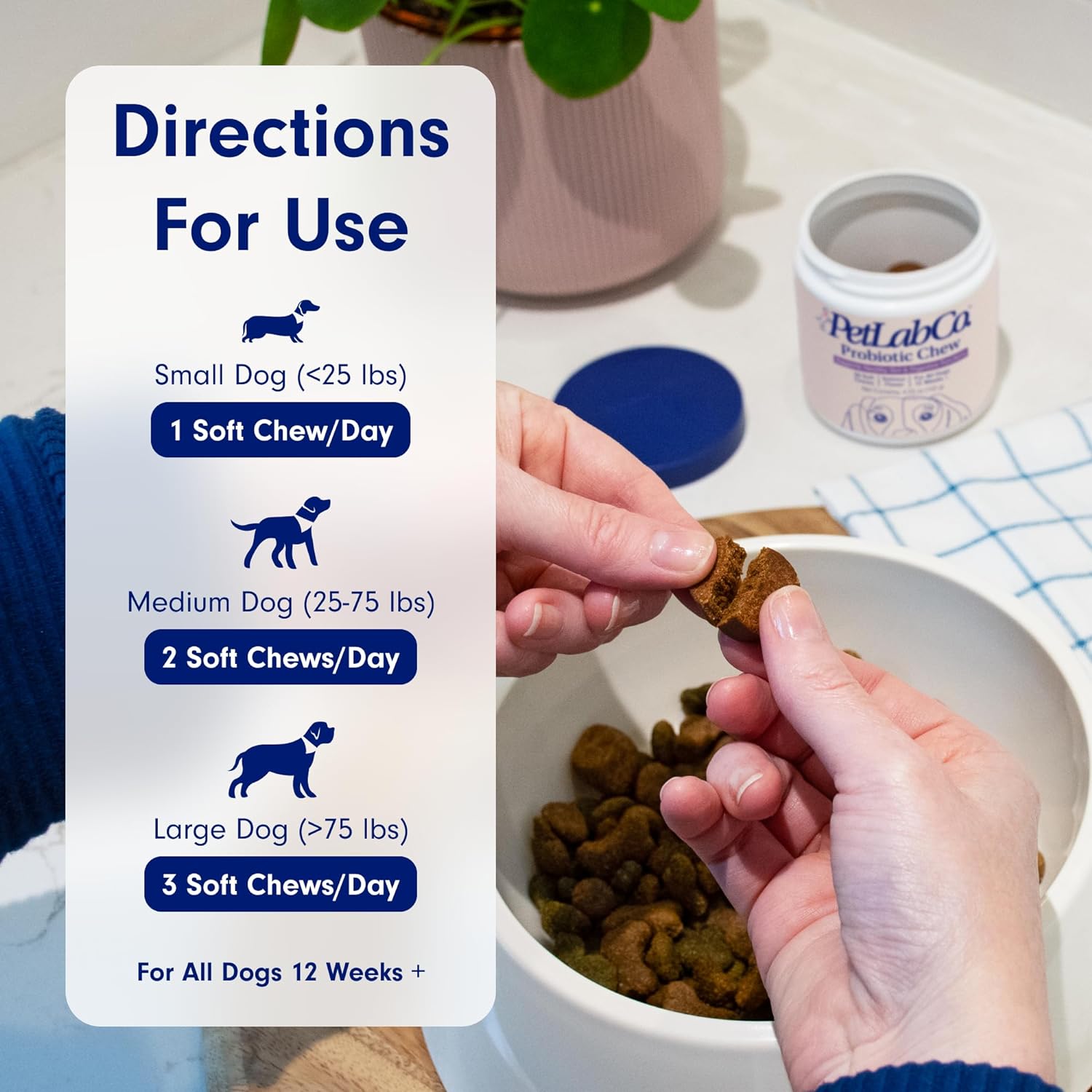 PetLab Co. Probiotics for Dogs, Support Gut Health, Diarrhea, Digestive Health & Seasonal Allergies - Salmon Flavor - 30 Soft Chews : Pet Supplies