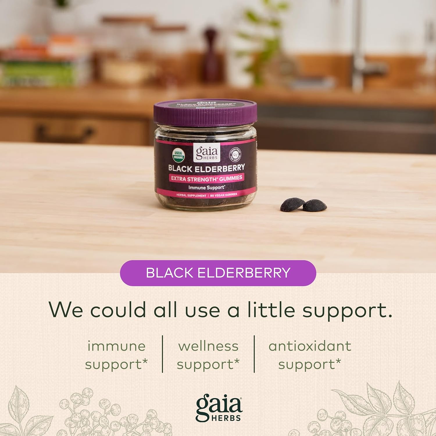 Gaia Herbs Black Elderberry (Sambucus Nigra) Extra Strength Gummies - Delicious Immune Support Supplement - Made with Certified Organic Black Elderberries for Immune System Support - 40 Gummies : Health & Household