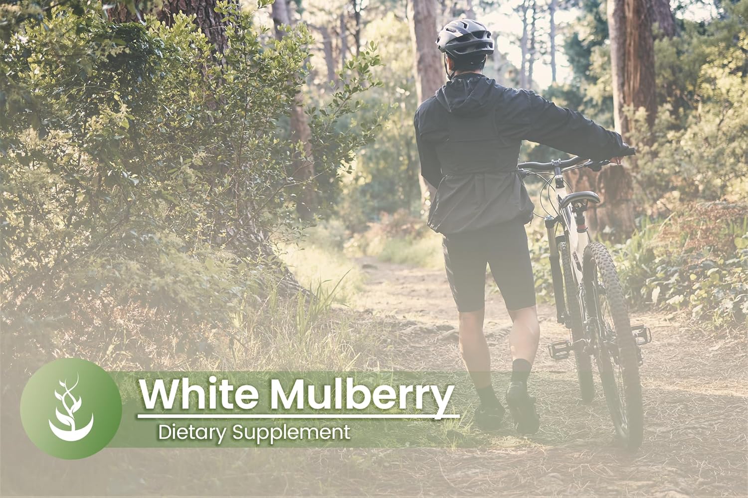 Pure Original Ingredients White Mulberry Leaf Extract (100 Capsules) Always Pure, No Additives Or Fillers, Lab Verified : Health & Household