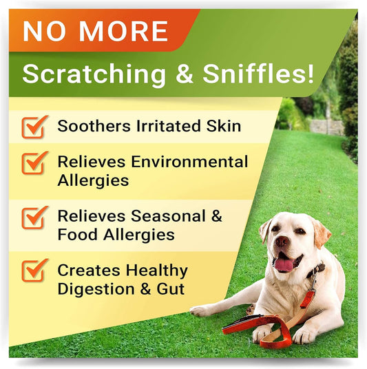 Allergy Relief + Advanced Allergy Dogs Bundle - Itchy Skin Treatment + Allergy & Itch Relief - Omega 3 & Pumpkin + Probiotics - Dogs Itching & Licking + Anti-Itch&Hot Spots - 360 Chews - Made In Usa