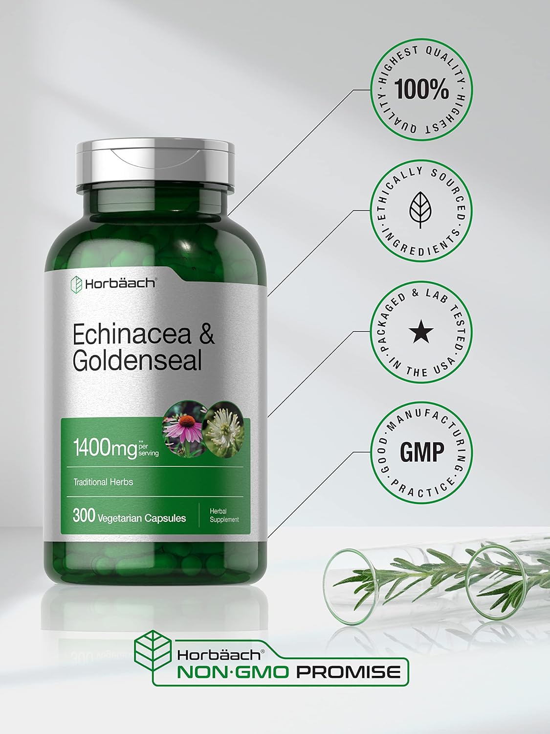 Horbäach Echinacea Goldenseal Capsules | 1400mg | 300 Count | Vegetarian, Non-GMO, Gluten Free Extract Supplement : Health & Household