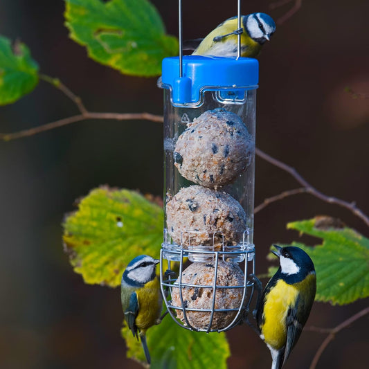 Bird Feeders Hanging Garden Bird Suet Feeder - Jacobi Jayne® Get Set Go™ Hanging Suet Feeder For Wild And Garden Birds - Easy Clean Birdfeeder Perfect For Suet and Fat Balls?GSG-B1B