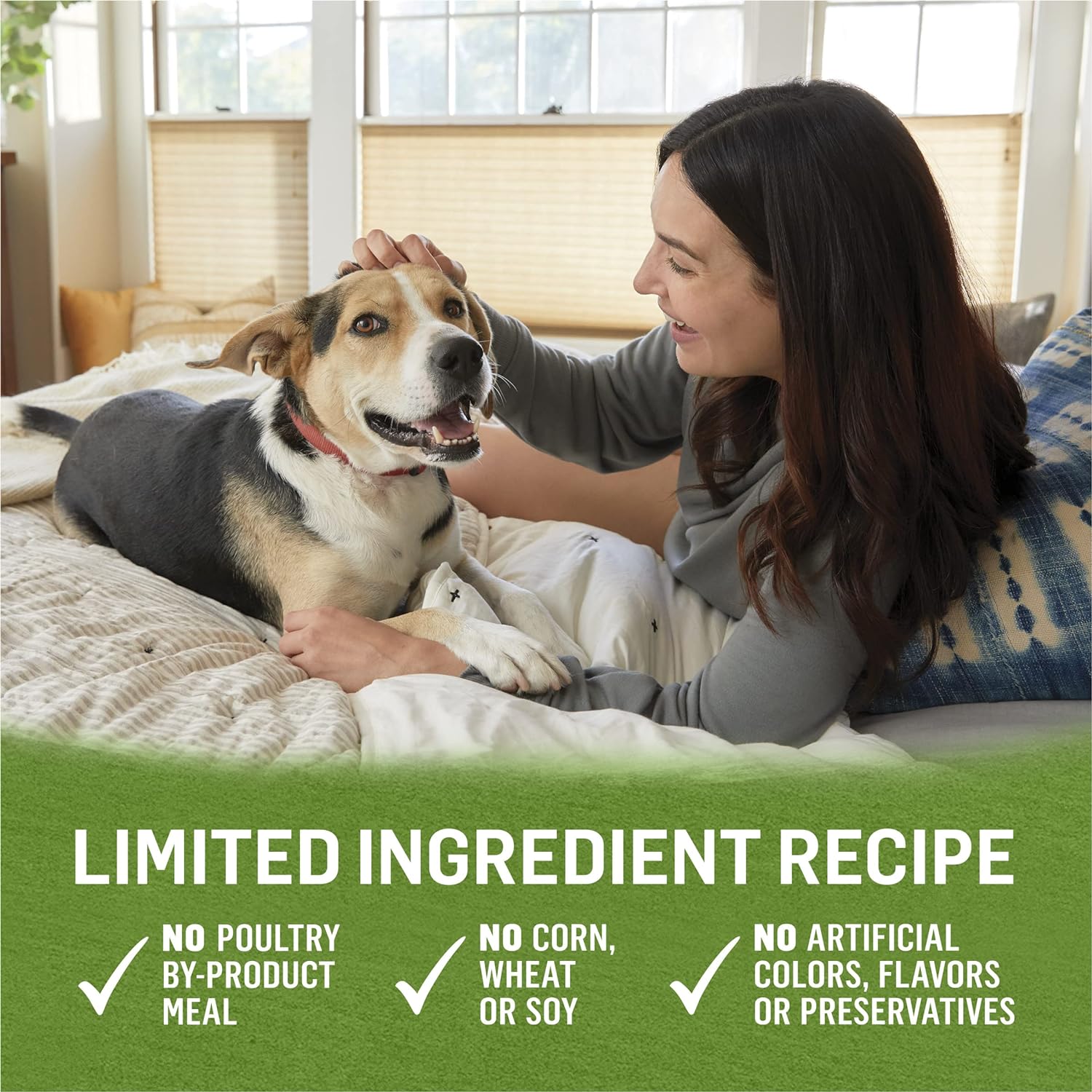 Purina Beyond Grain Free, Natural Pate Wet Dog Food, Grain Free Chicken, Lamb & Spinach Recipe - (12) 13 oz. Cans: Pet Supplies: Amazon.com