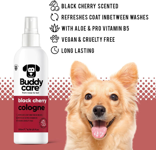 Buddycare Dog Cologne - Black Cherry - 200ml - Fruity and Bold Scented Dog Cologne - Refreshes Between Dog WashesB74001