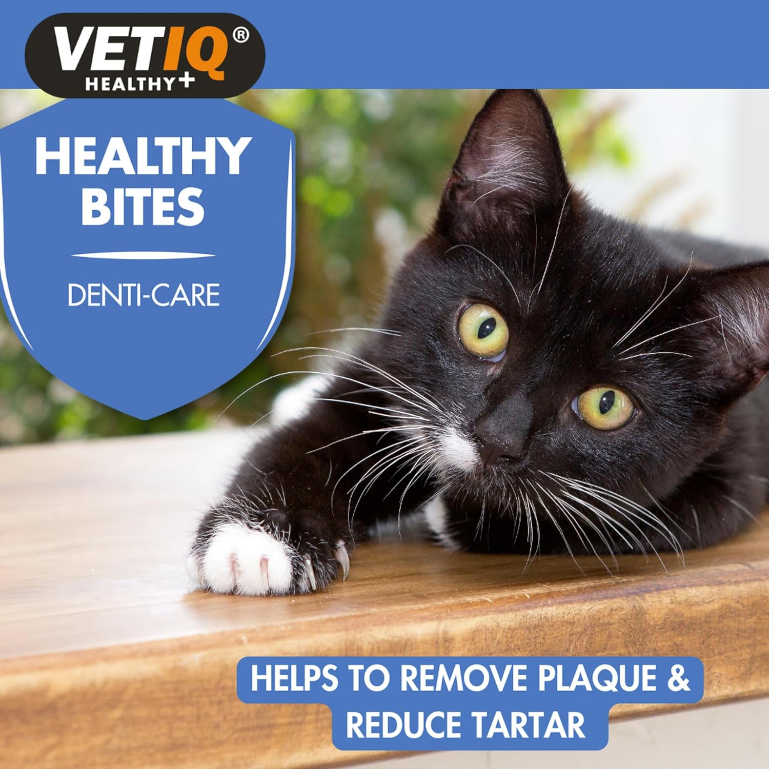 VETIQ Healthy Bites Denti-Care Treats For Cats & Kittens, Helps to Prevent Plaque, Reduce Tartar Build Up & Contains Parsley Seed & Clove Leaf Oil for Fresh Breath, 65 g (Pack of 4) :Pet Supplies