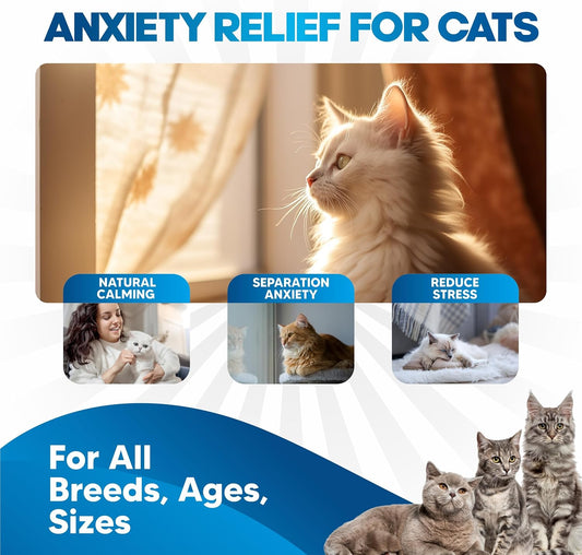 Cat Anxiety Relief 90 Day Supply - Faster Absorption Than Cat Calming Treats - Cat Calming Products For All Ages - Liquid Calming Cat Treats For Sleep Aid - 8 Ingredient Blend + Cat Melatonin