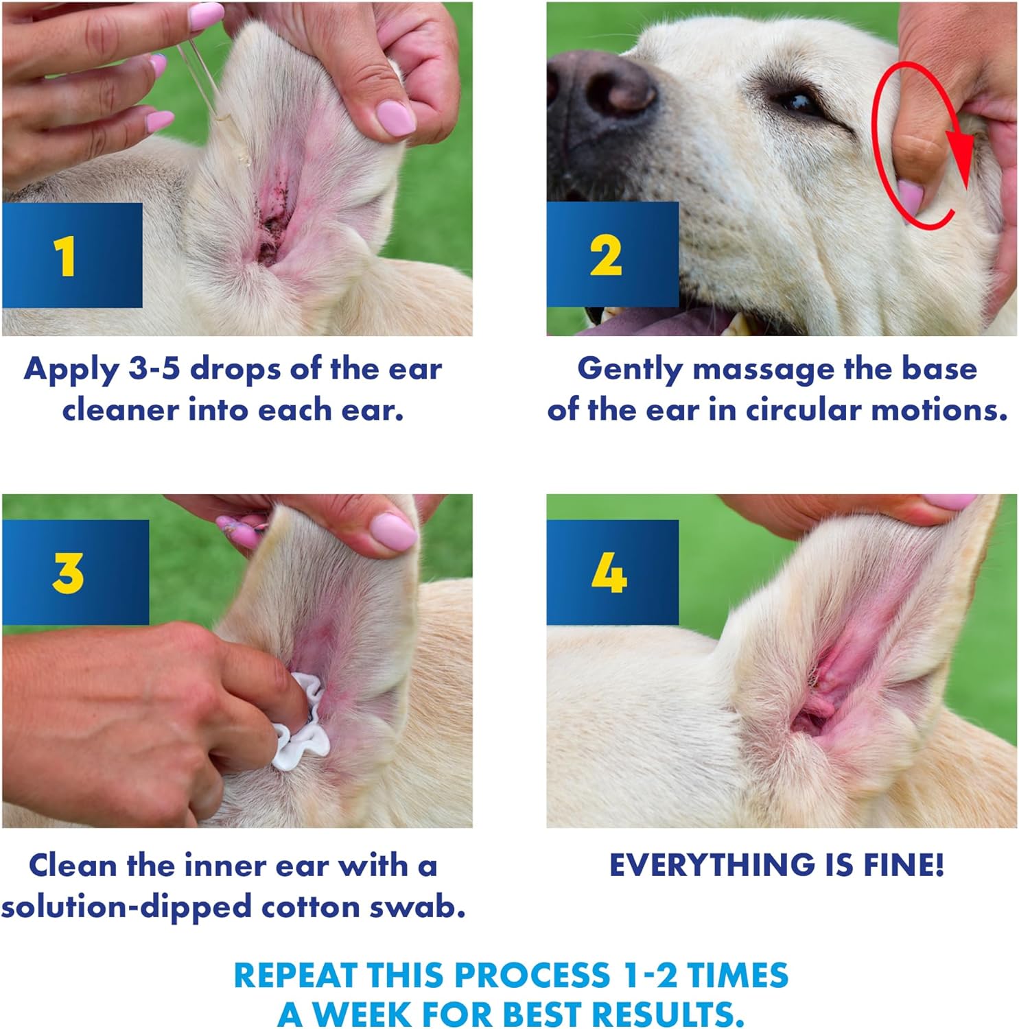 Cat & Dog Ear Cleaner Drops & Wash Solution - Yeast Otic Infection Treatment & Itchy Ear Relief for Pet - Wax Remover & Flush Remedy for Any Pets : Pet Supplies