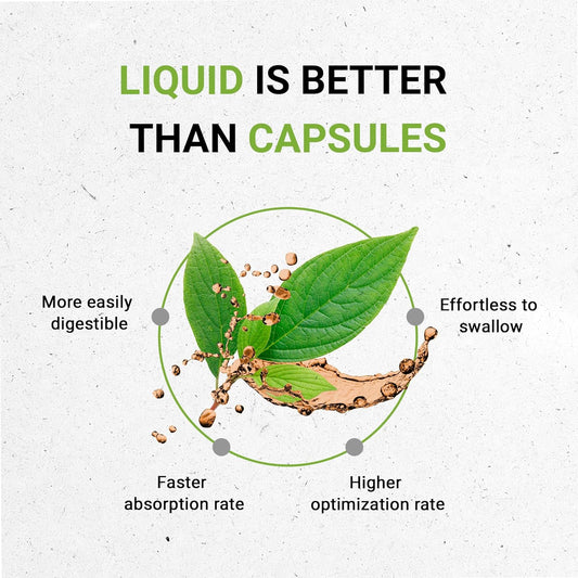 Self Heal Liquid Extract Alcohol-Free Made with Natural 100% Pure Herb 2Oz