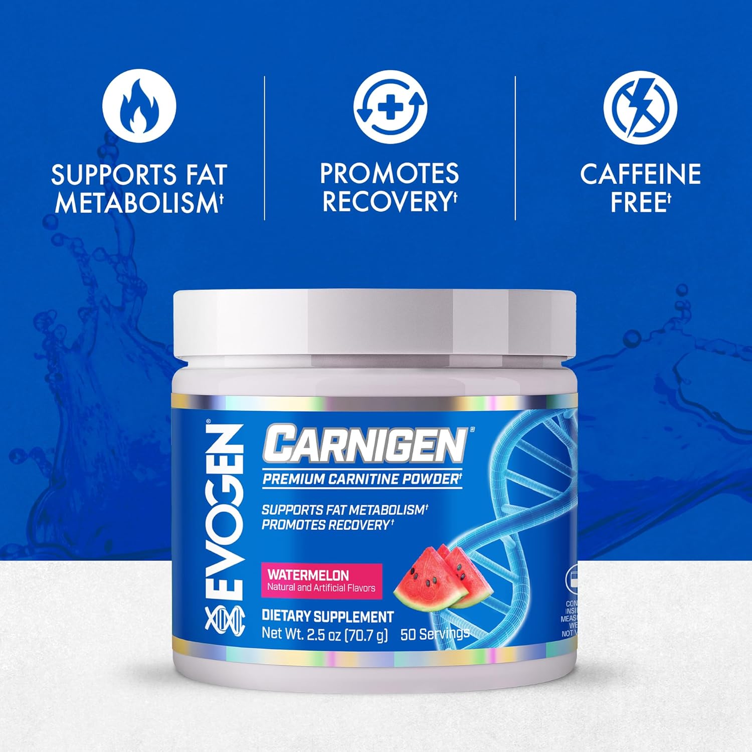 Evogen Carnigen - Premium Carnitine Powder | Supports Fat Metabolism & Promotes Recovery | Stimulant-Free L Carnitine Supplement Matrix With Acetyl L-Carnitine | Watermelon | 50 Servings : Health & Household