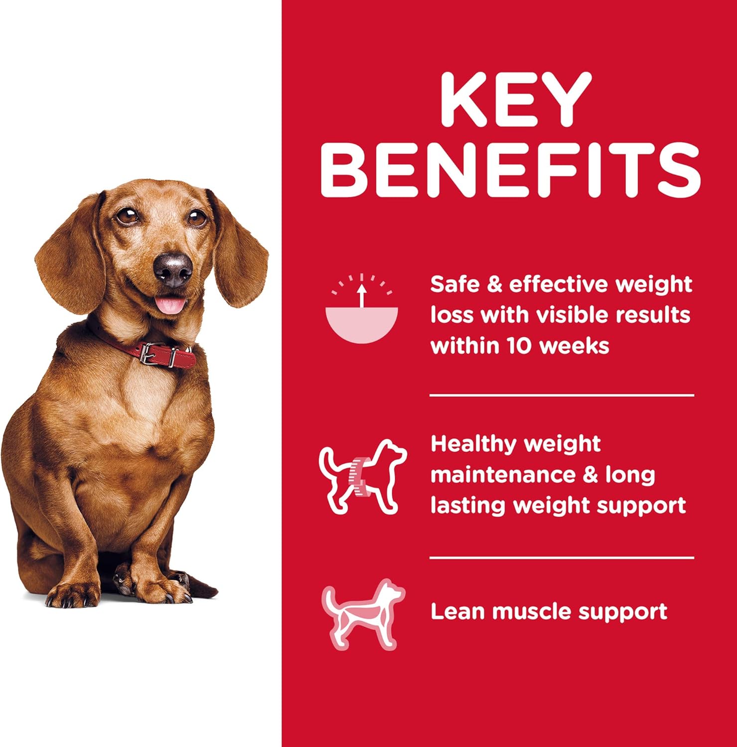 Hill's Science Diet Adult Perfect Weight Small & Mini Chicken Recipe Dry Dog Food, 15 lb. Bag