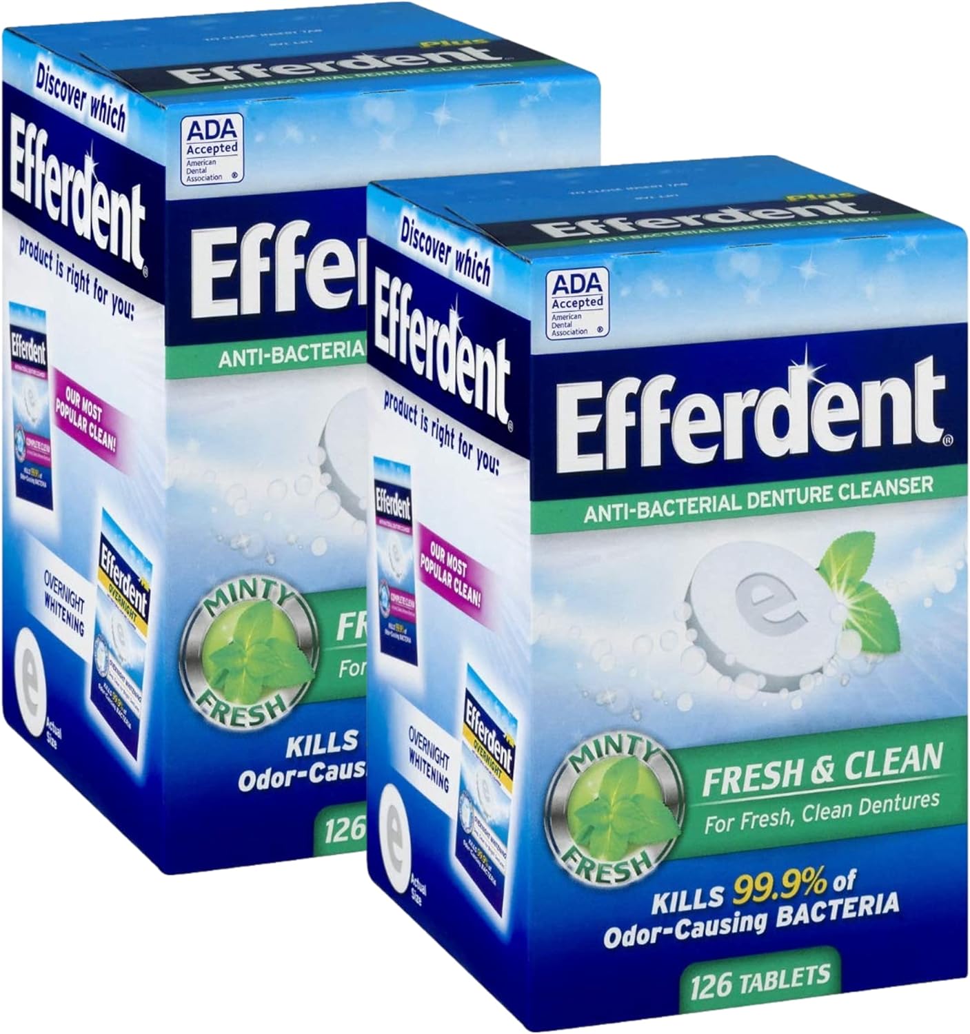 Efferdent Mint Fresh and Clean Denture Cleanser, 252 Tablets Bundle with Bundle with Dentu-Care Denture Brush Specifically Designed to Gently Clean Hard to Reach Areas for Full Partial Dentures