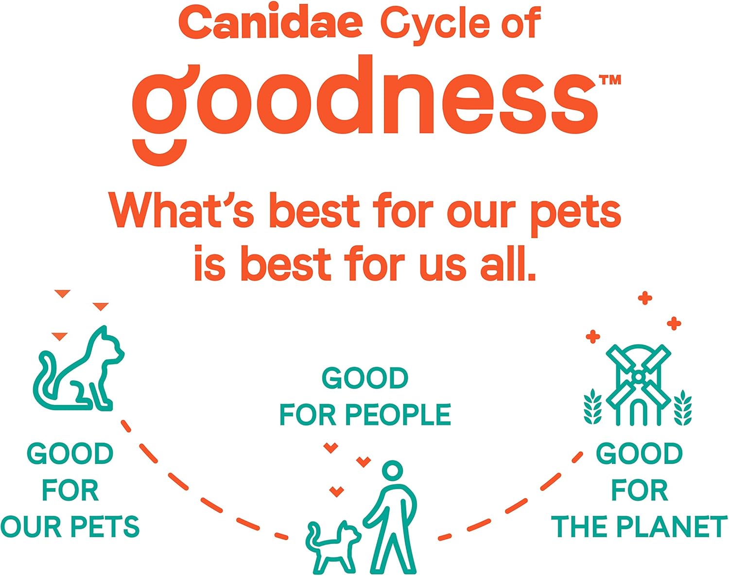 Canidae Goodness for Joints, Premium Adult Dry Cat Food with Real Salmon, 5 Lbs. : Pet Supplies