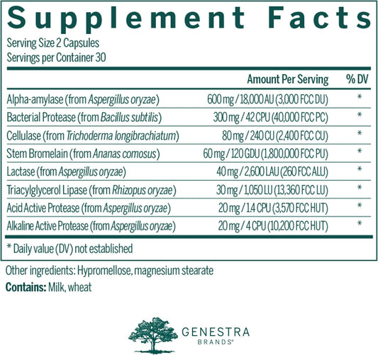 Genestra Brands V-Enzymes | Vegan Digestive Support To Help Lactose Digestion | 60 Capsules