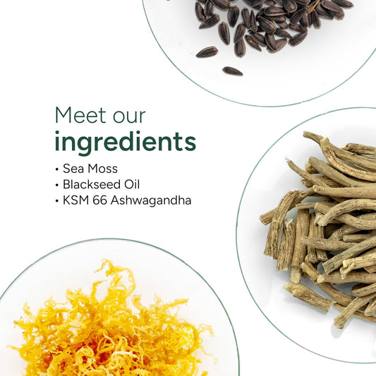Sea Moss Gummies I 92+ Minerals I Black Seed Oil I Ksm 66 Ashwagandha I Lab Tested I No Added Sugar | For Men, Women I Non-Gmo I 100% Natural & Organic I 1600 Mg I 60 Gummy