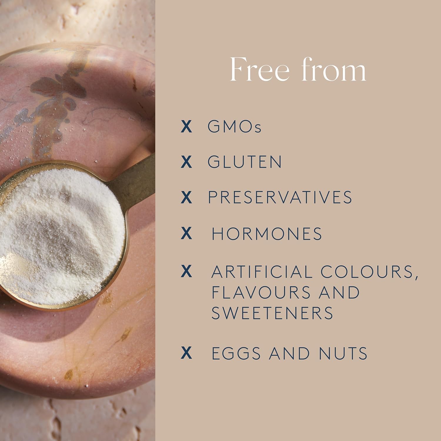 Dose & Co Collagen Creamer in Caramel Flavour - 340g Powder Supplement : Amazon.co.uk: Health & Personal Care