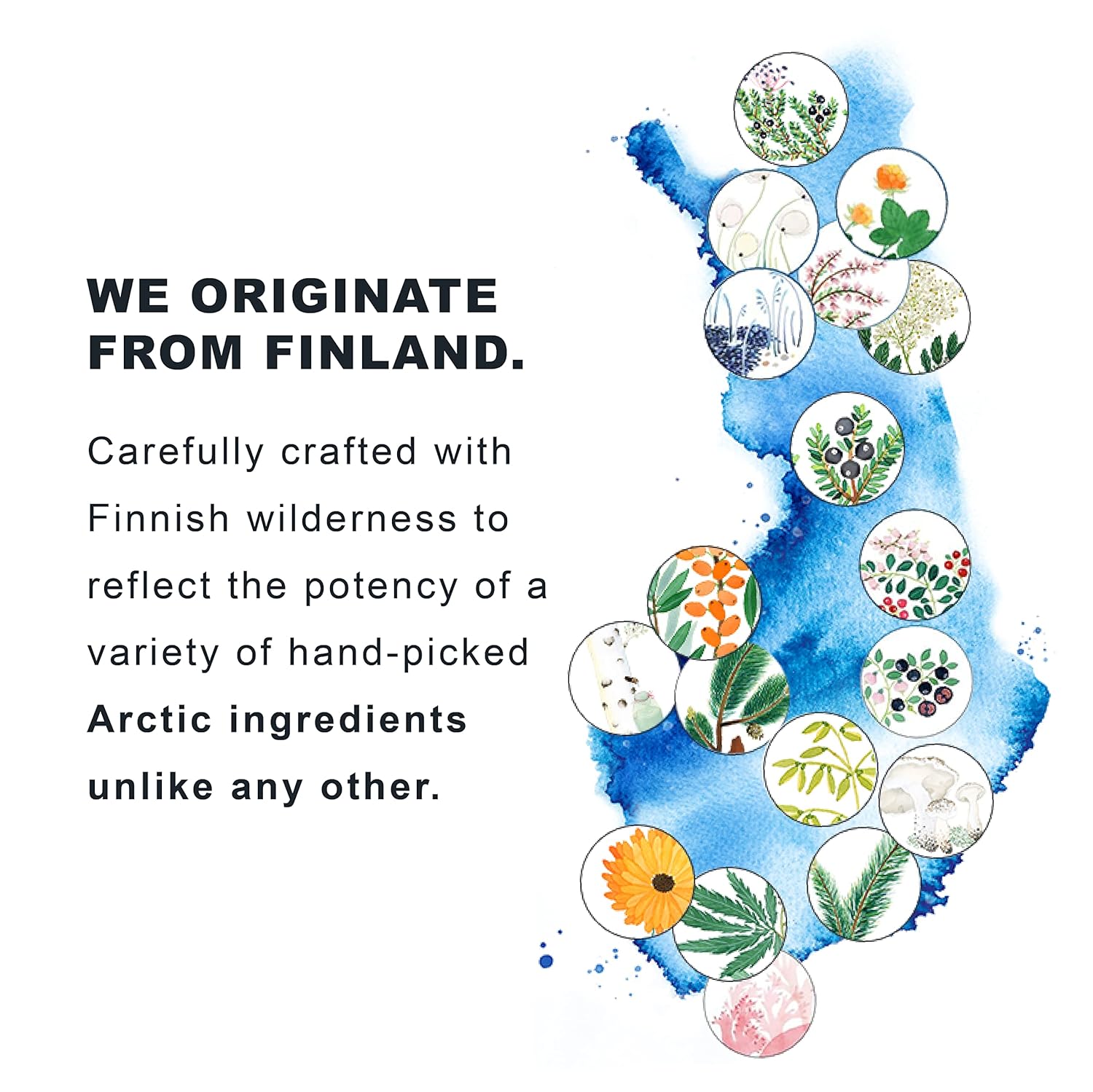 Lumene [Lähde Hydration Recharge Overnight Facial Cream - Lightweight, Hydrating Face Cream With Hyaluronic Acid, Arctic Spring Water + Nordic Birch Sap - Reinforces Natural Moisture Barrier (50 Ml) : Beauty & Personal Care