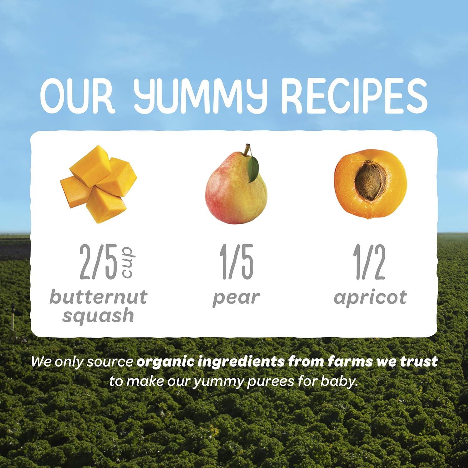 Happy Baby Organics Stage 2 Baby Food Pouches With One Full Serving Of Veggies, Nutritious Snack, Clearly Crafted Fruit & Veggie Puree, Squash, Mango, & Papaya, 4 Ounces : Baby