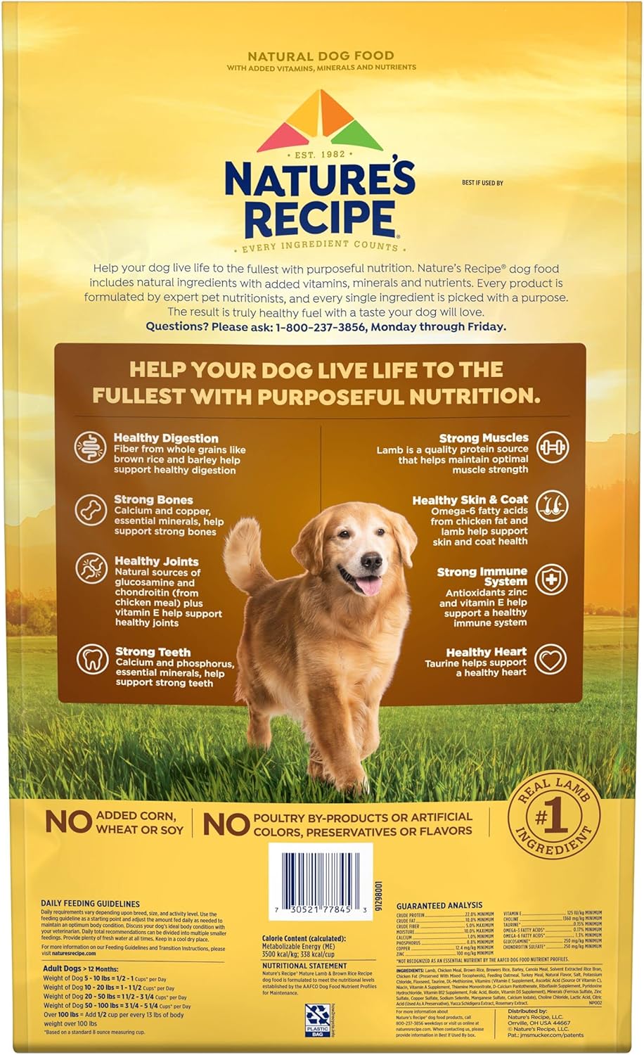 Nature’s Recipe Mature Lamb & Brown Rice Recipe Dry Dog Food, 24 lb. Bag : Pet Supplies