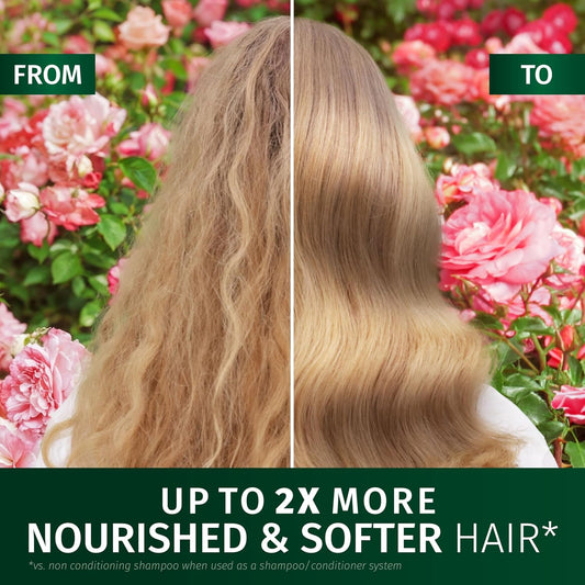 Herbal Essences Rose Scent Petal Soft Lighweight Conditioner All In One 145Ml Detangles, Nourishes, Tames Frizz, Repairs, Heat Protects, Adds Shine & Lasting Scent