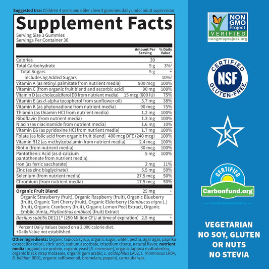 Garden Of Life Kids Multivitamin Gummy With Iron+Probiotics For Immune Health & Digestion:Vitamins D, C, E, B, Zinc For Energy&Development,Vitamin Code,Non-Gmo,Gluten-Free, Orange,30 Day Supply