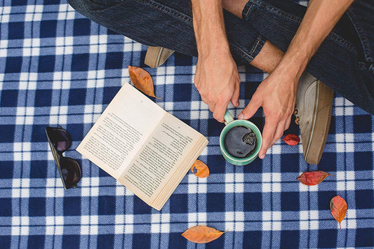 Equal Exchange Organic Coffee Bean, Love Buzz Blend, 12-Ounce Bag