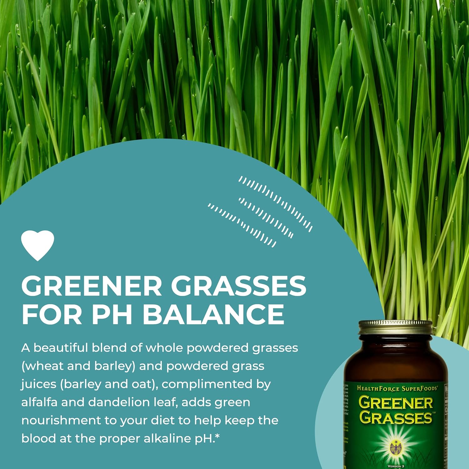 HEALTHFORCE SUPERFOODS Greener Grasses - 5 Oz Powder : Health & Household