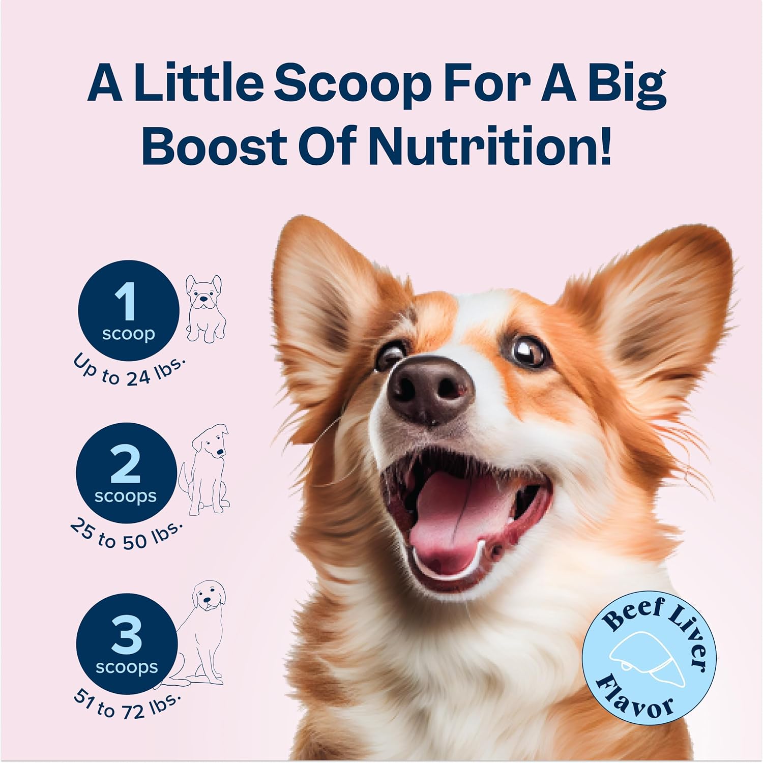 Dog Prenatal Vitamins - Prenatal Vitamins for Dogs - Prenatal Kit for Pregnant Dogs with Iron, D3 and Folic Acid - Prenatal Dog Vitamins to Enhance Recovery and Milk Production for Nursing Puppies : Pet Supplies