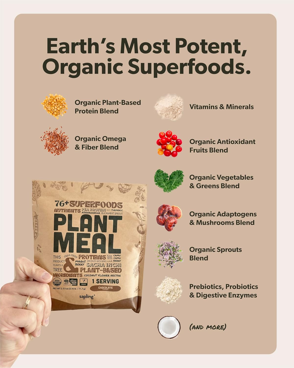 Plant Meal Replacement Shake - Chocolate - 25G Of Plant Based Vegan Protein Powder, 76+ Organic Superfoods, Vitamins & Minerals, Mushrooms, Super Greens, Digestive Enzymes & Probiotics - 1 Serving : Grocery & Gourmet Food
