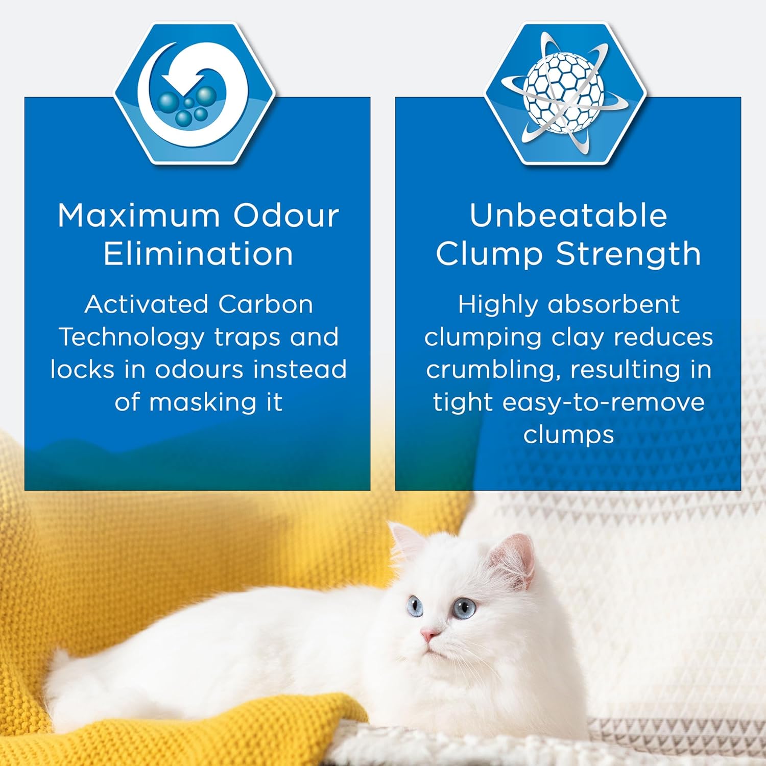 Ever Clean Clumping Cat Litter, Fast Acting Odour Control, Ideal for small spaces, Scented for long-lasting freshness, 10L :Pet Supplies