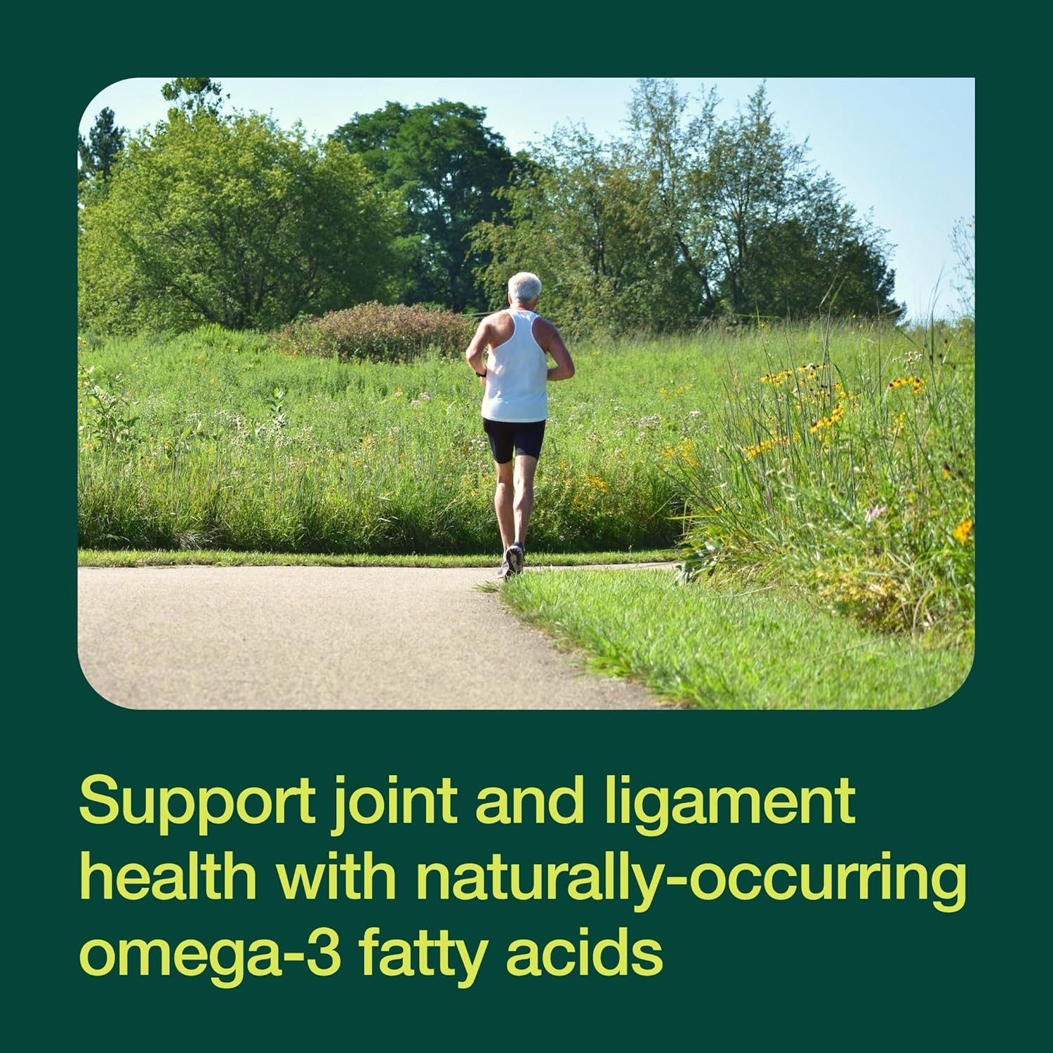 Green Lipped Mussel Capsules - Strongest Dna Verified From New Zealand - Perna Canaliculus Omega Supplement - May Promote Healthy Joints - 90 Capsules : Health & Household