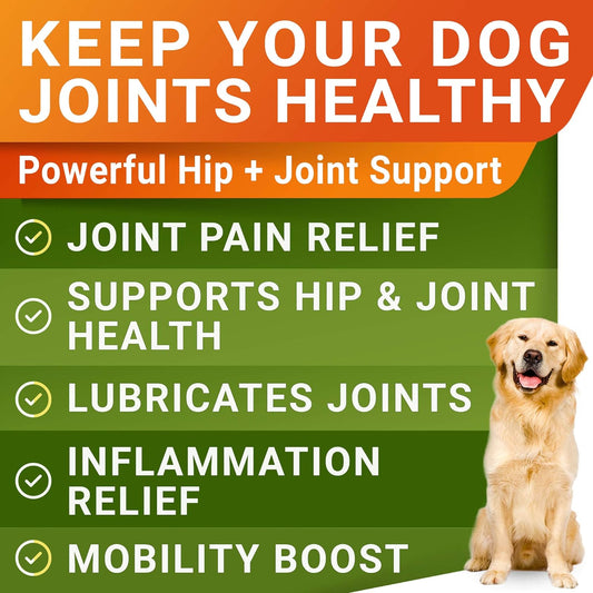 Glucosamine for Large Dogs - Joint Supplement Large Breed w/ Omega-3 Fish Oil - Chondroitin, MSM - Advanced Mobility Chews - Joint Pain Relief - Hip & Joint Care - Chicken Flavor - 240Ct - Made in USA