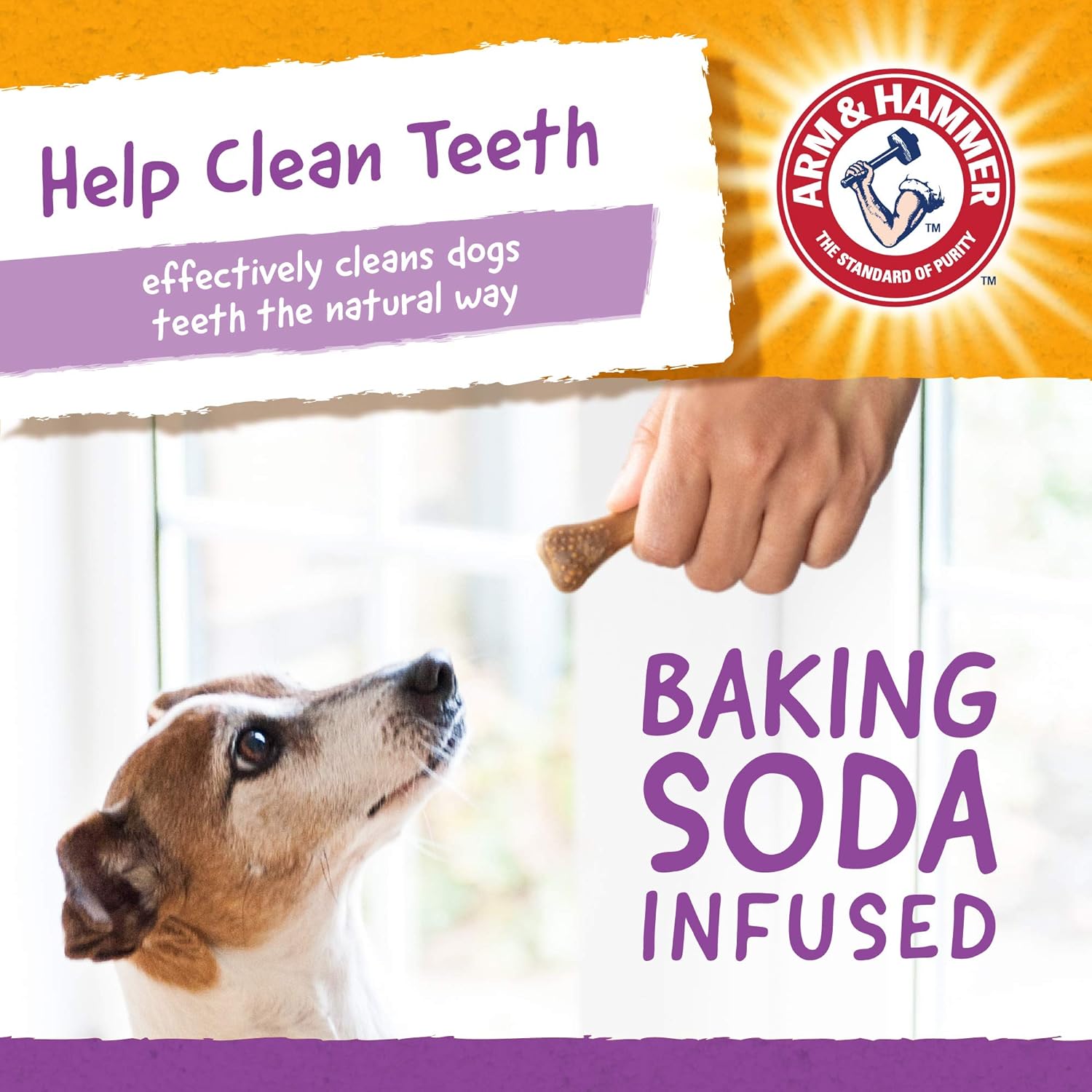 Arm & Hammer Advanced Care Dental Brush Chews - Mint Flavor