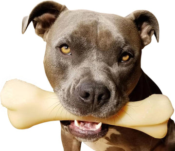 Nylabone Power Chew Monster Bone Big Dog Chew Toy, Dog Toys For Aggressive Chewers, Chicken Flavor, Xx-Large/Monster (1 Count)