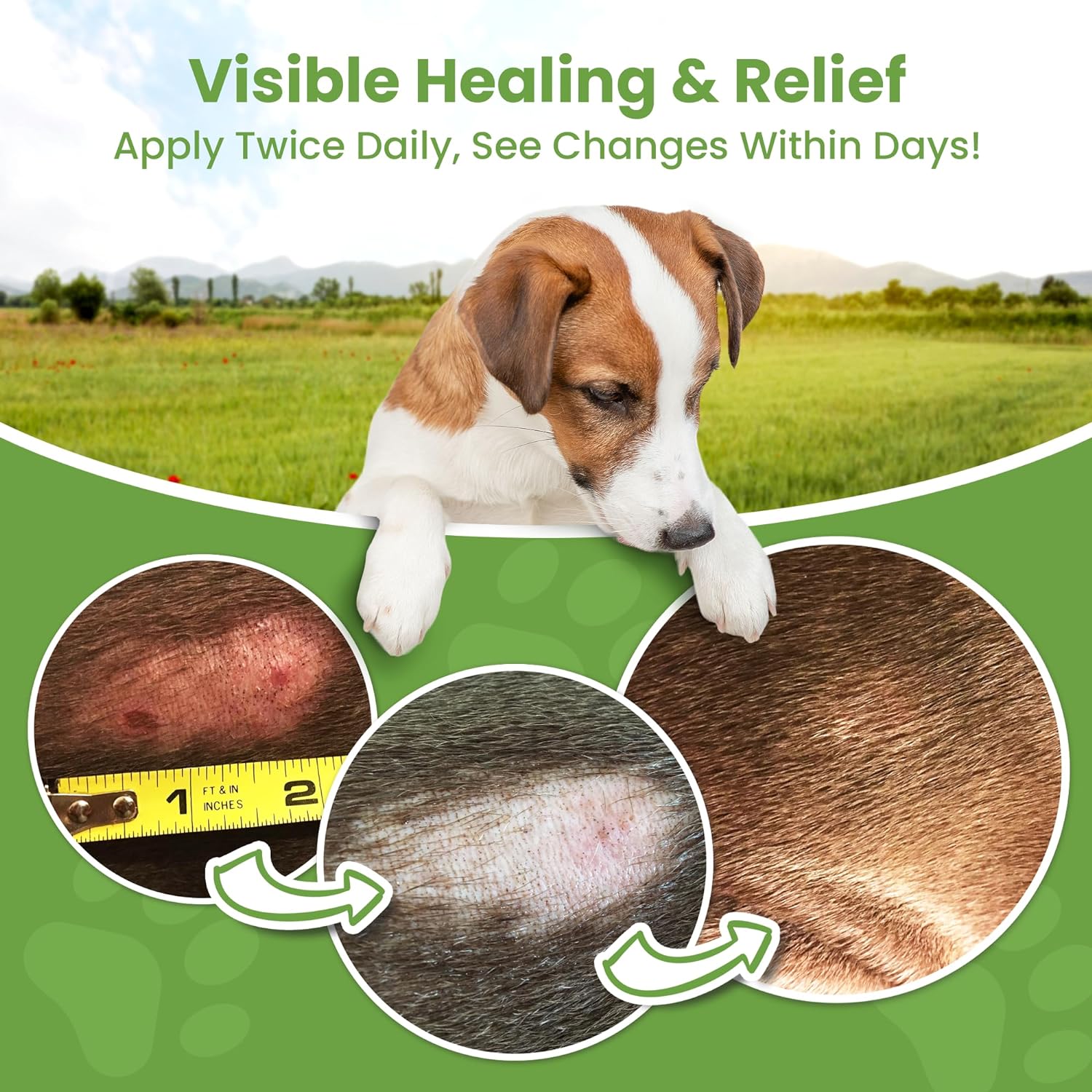Hot Spot Treatment for Dogs, Cats & Pet Wound Care: Healing Ointment for Pets Itchy Skin Relief, Dry Skin Treatment, Natural Allergy Relief, Dog Paw Balm + Manuka Honey, Aloe Vera, Vitamin E (4 Oz.) : Pet Supplies