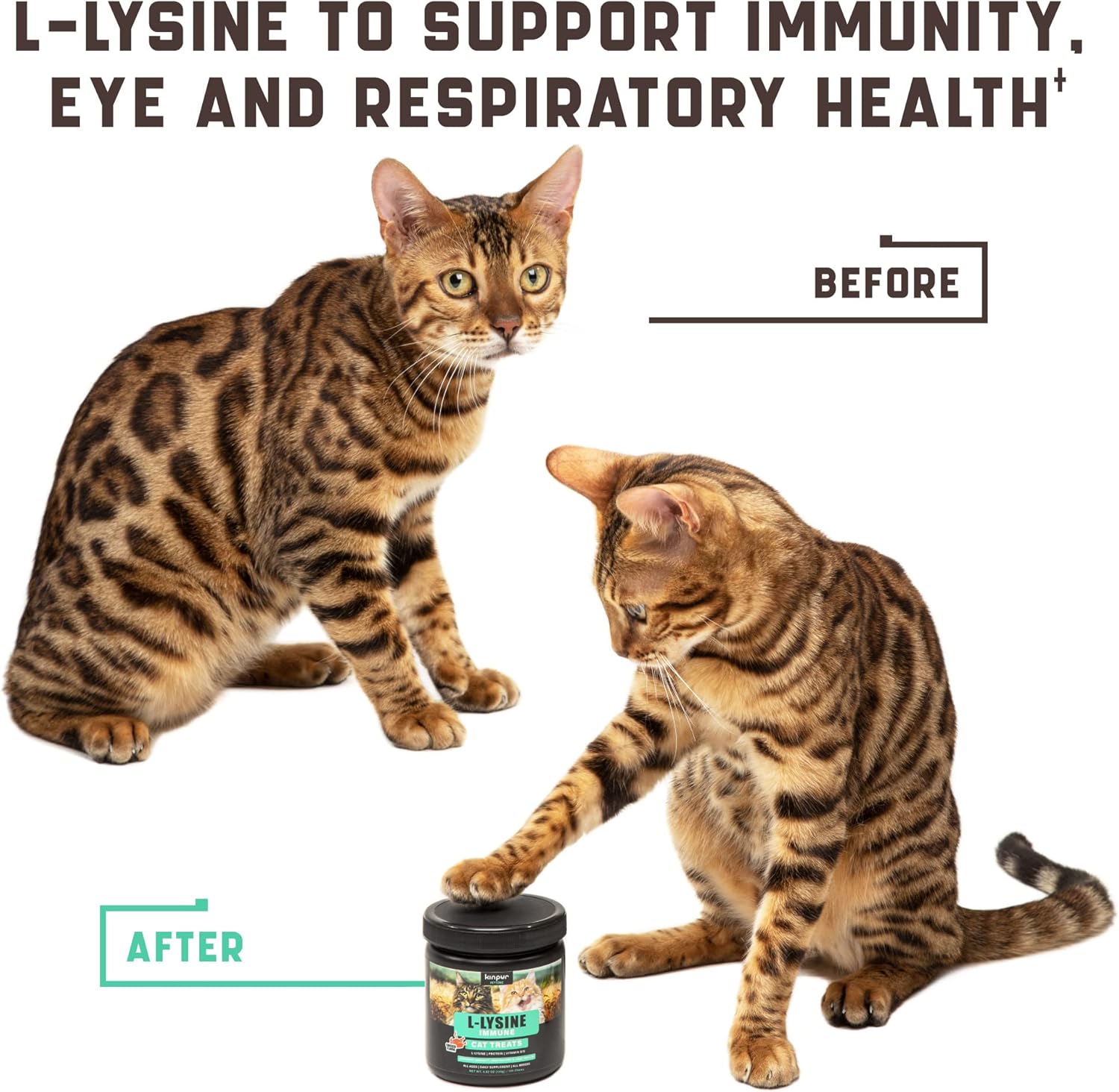 Lysine Cat Treats - Cat Immune Support - Help Improve Respiratory Health and Eye Function - Enriched with Vitamin B, Calcium, Protein : Pet Supplies