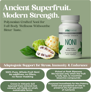 American Nutriceuticals – Noni – 60 Capsules – Powerful Adaptogen For Balanced Energy – 100% Whole Fruit Powder