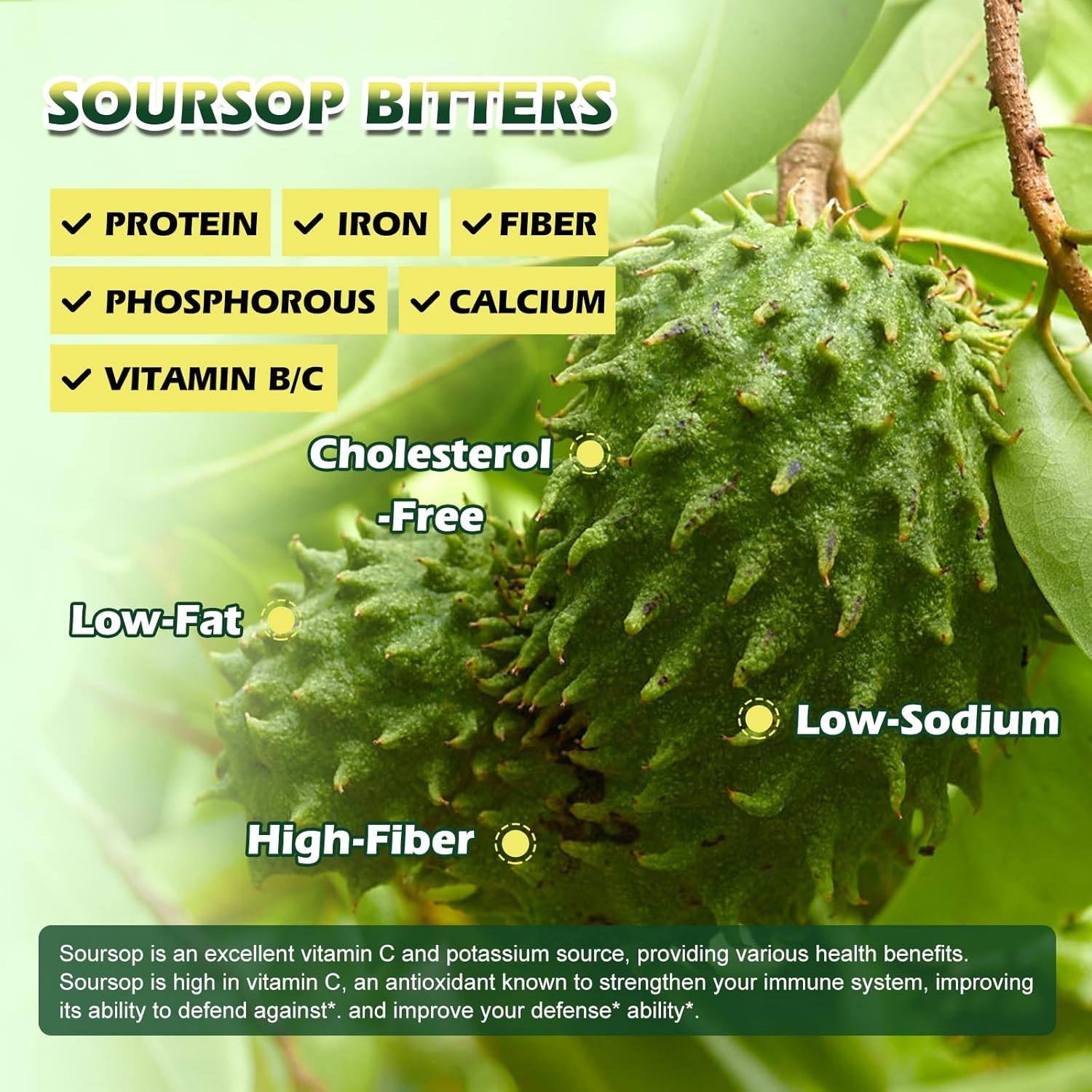 Soursop Bitters Liquid Drops, Soursop Graviola Leaf Extract Multivitamin Drops With Sea Moss Black Seed Oil Supplement - Supports Antioxidant, Slowing Cell-Aging, Gut Cleanse, Detox & Immunity Health : Health & Household