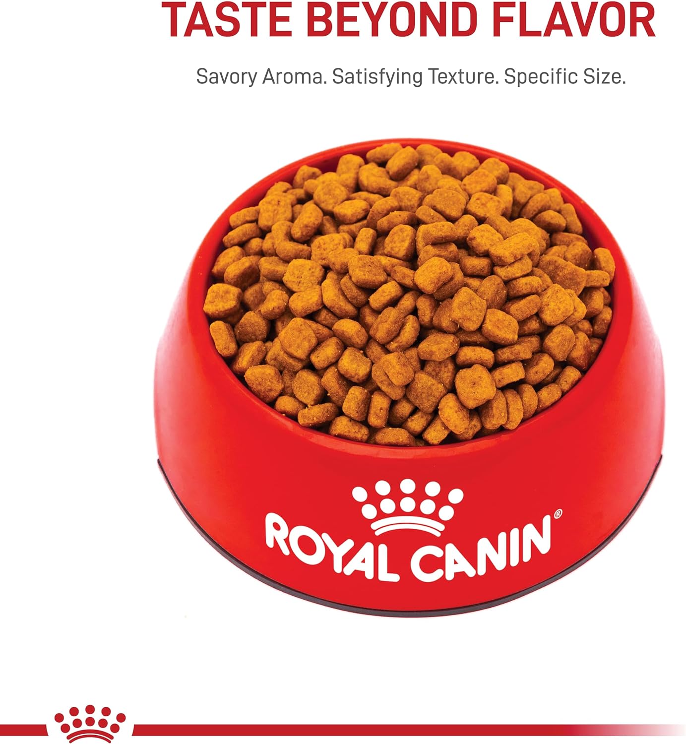 Royal Canin Breed Health Nutrition Poodle 8+ Adult Dry Dog Food, 3 lb bag: Pet Supplies: Amazon.com