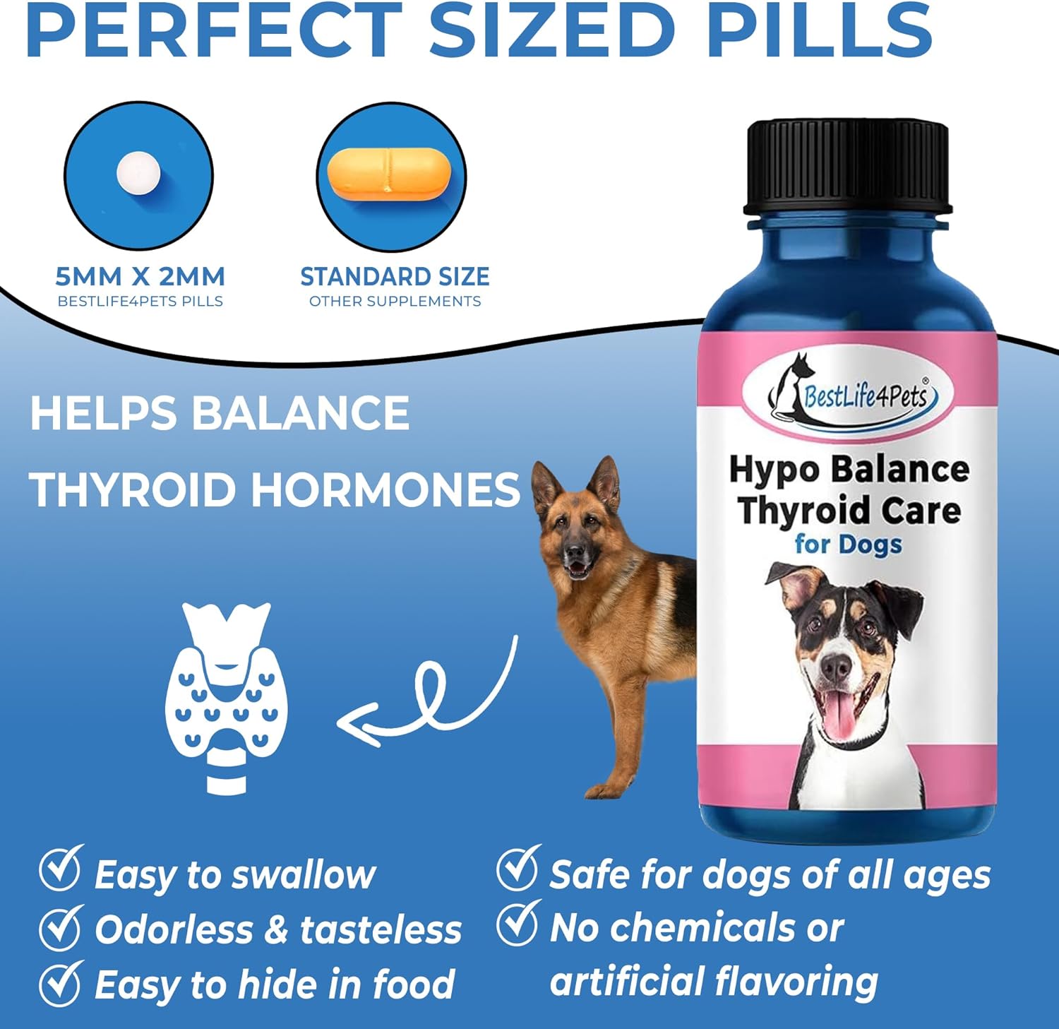 BestLife4Pets Hypo-Balance Thyroid Support for Dogs - Natural Canine Thyroid Supplement Supports Endocrine System to Restore Energy, Improve Mood, Reduce Shedding and Boost Metabolic Functions