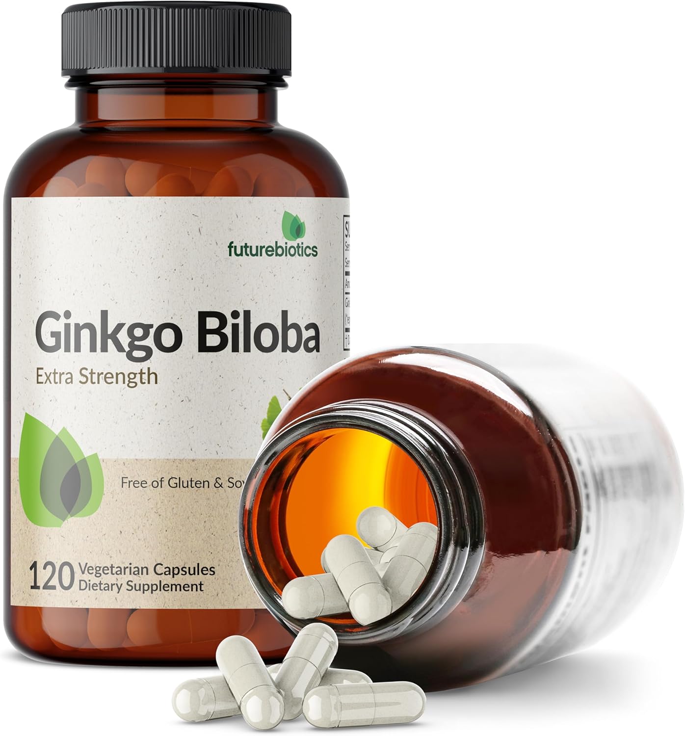 Futurebiotics Ginkgo Biloba Extra Strength Supports Brain Function & Memory Support, 120 Vegetarian Capsules : Health & Household