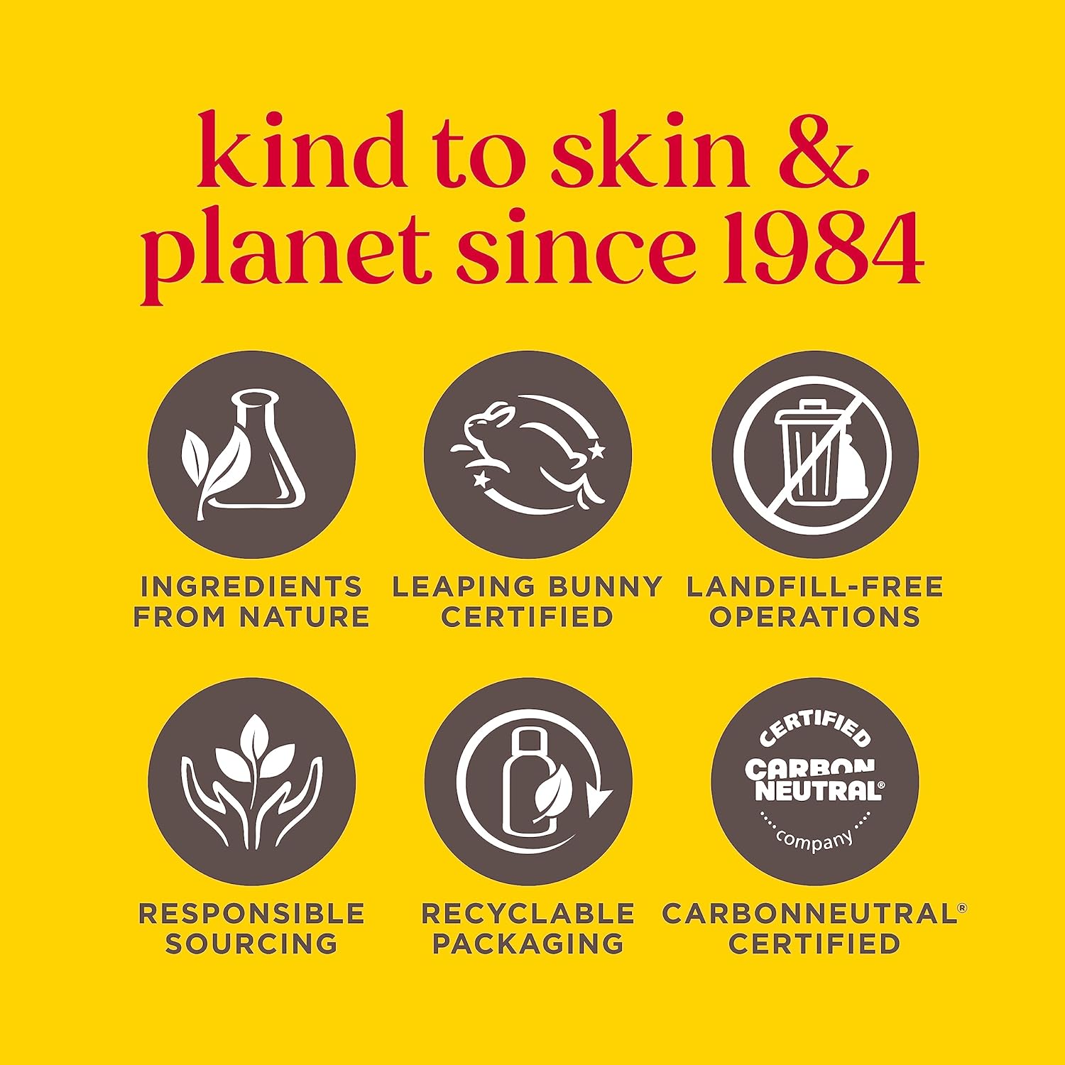 Burt's Bees Lip Balm Mango, Moisturising Lip Balm With Beeswax & Vitamin E, 100% Natural Origin, 4.25g : Amazon.co.uk: Beauty