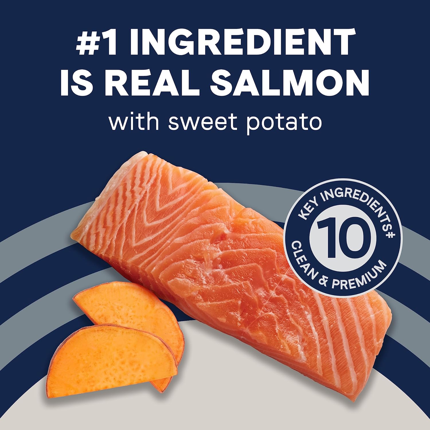 Canidae Pure Real Salmon & Sweet Potato Recipe Adult Dry Dog 22 LB : Pet Supplies