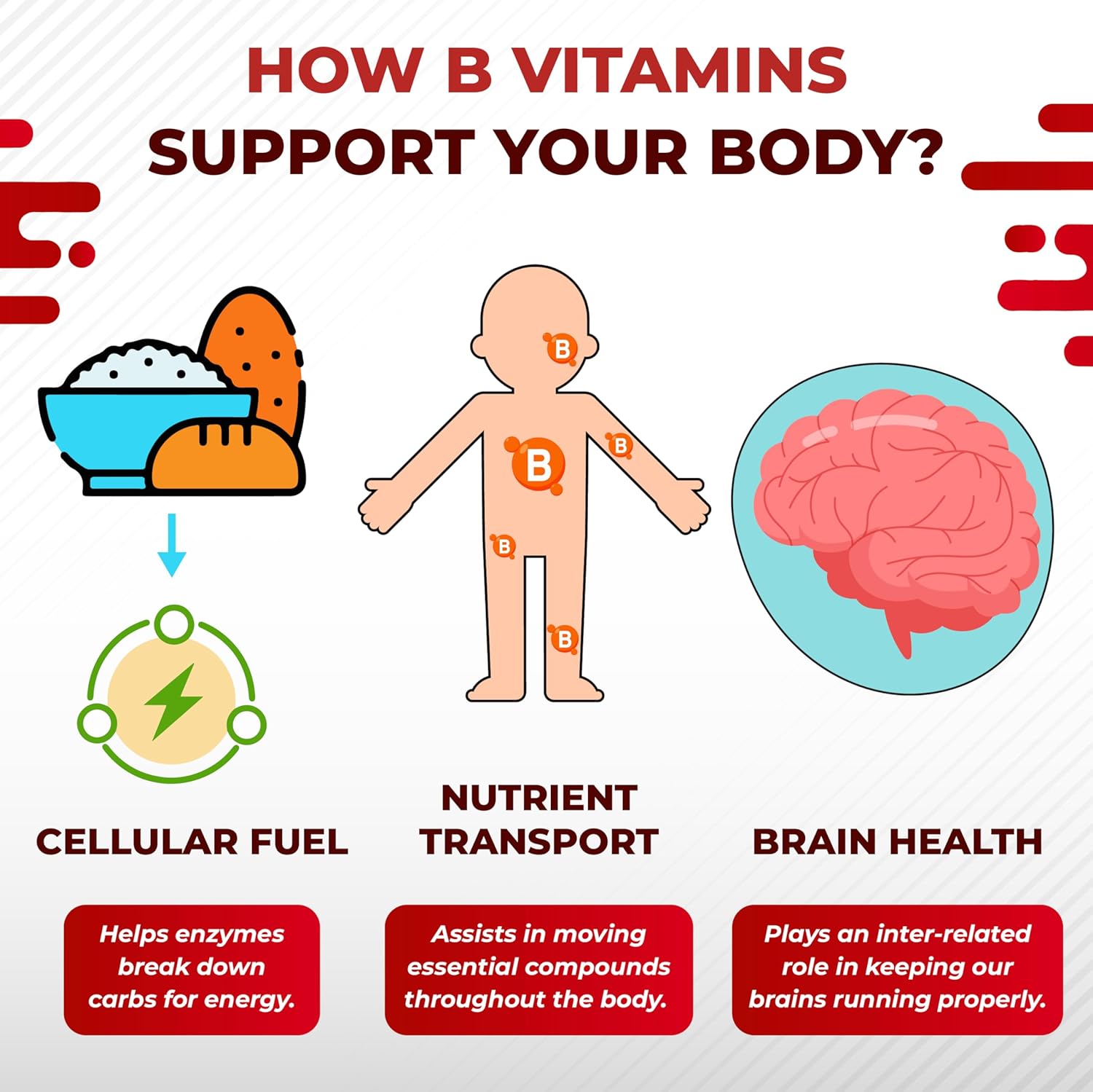 Nurafuse Vitamin B Complex Vitamin B1, B2, 6,9,12 Niacin, With Vitamin C - Support Brain Health, Energy Levels, Skin, Hair, And Nails - Made And Tested In The Usa : Health & Household